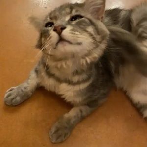 Meet your Posher, Luis